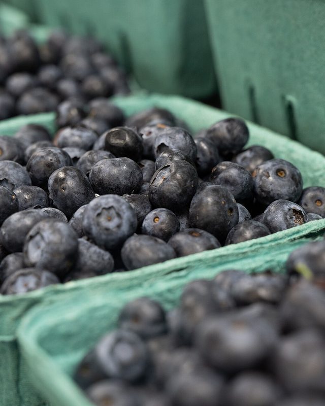 Punnets of ripe blueberries