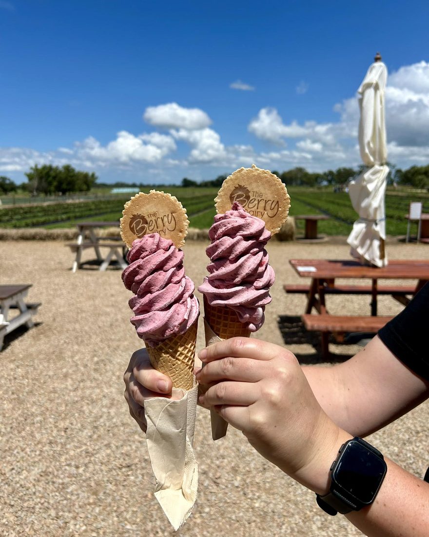 Two real fruit ice creams in waffle cones, held up at a berry farm