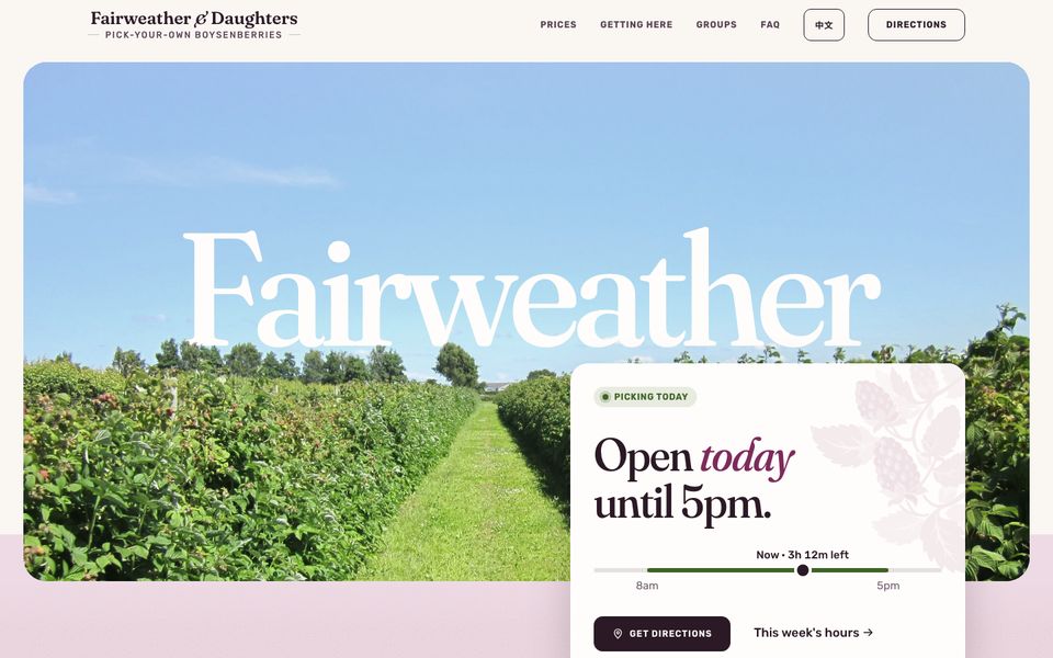 Boysenberry demo: a grass path between tall rows of canes under a clear sky