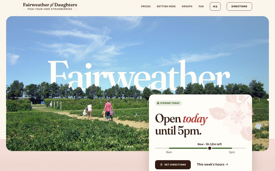Strawberry demo: a strawberry field under a blue sky with the farm name