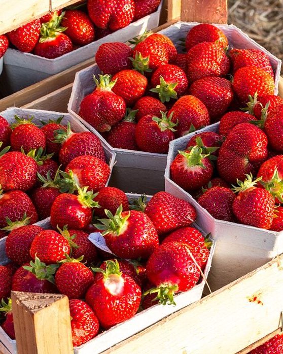 Punnets of ripe strawberries in a wooden crate