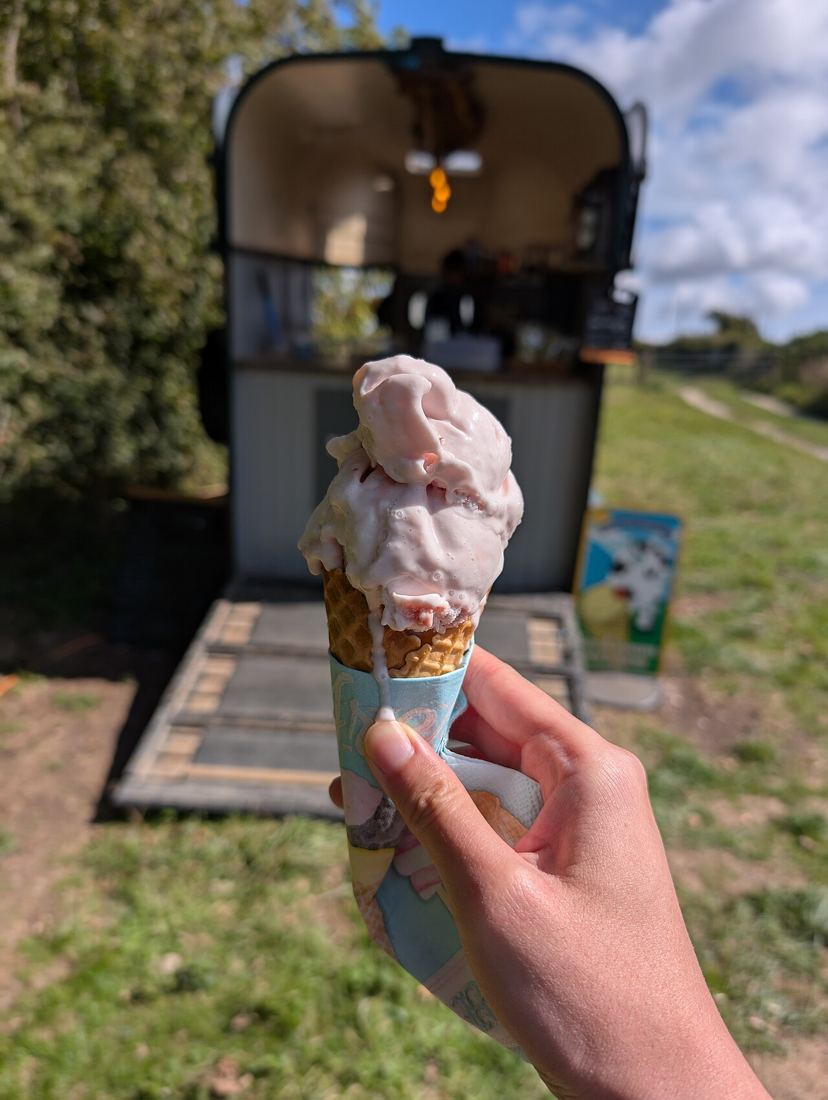 A cone of pink strawberry ice cream held up outside the farm shop