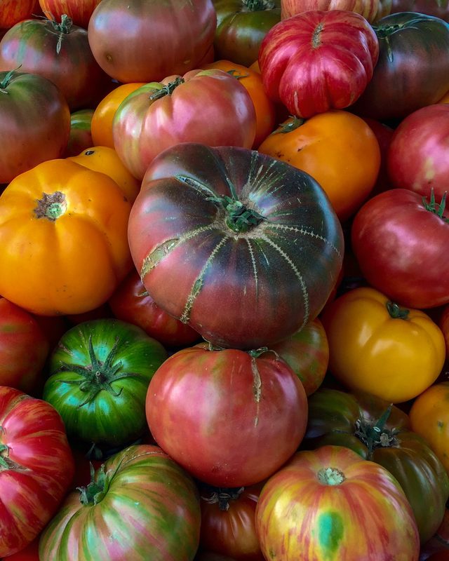 Heirloom tomatoes in red, gold, green and near-black